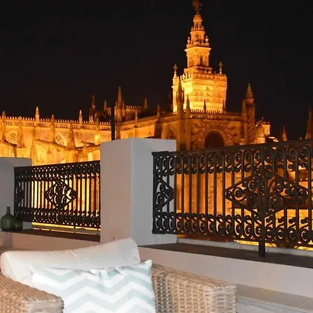Penthouse With Large Private Terrace With Views Cathedral Appartement Séville